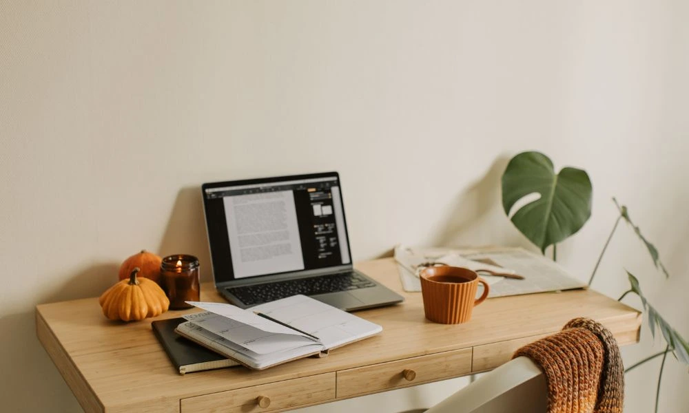 Histórico e experiência da Pickmania em apostas desportivas profissionais